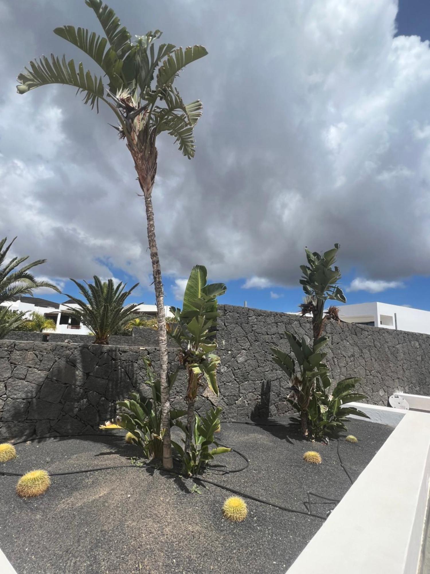 Villa Dedalos - A Luxury Large Villa With A Heated Pool In Пуэрто-Калеро Экстерьер фото